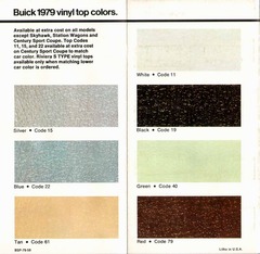 1979 Buick Colors-06-07.jpg
